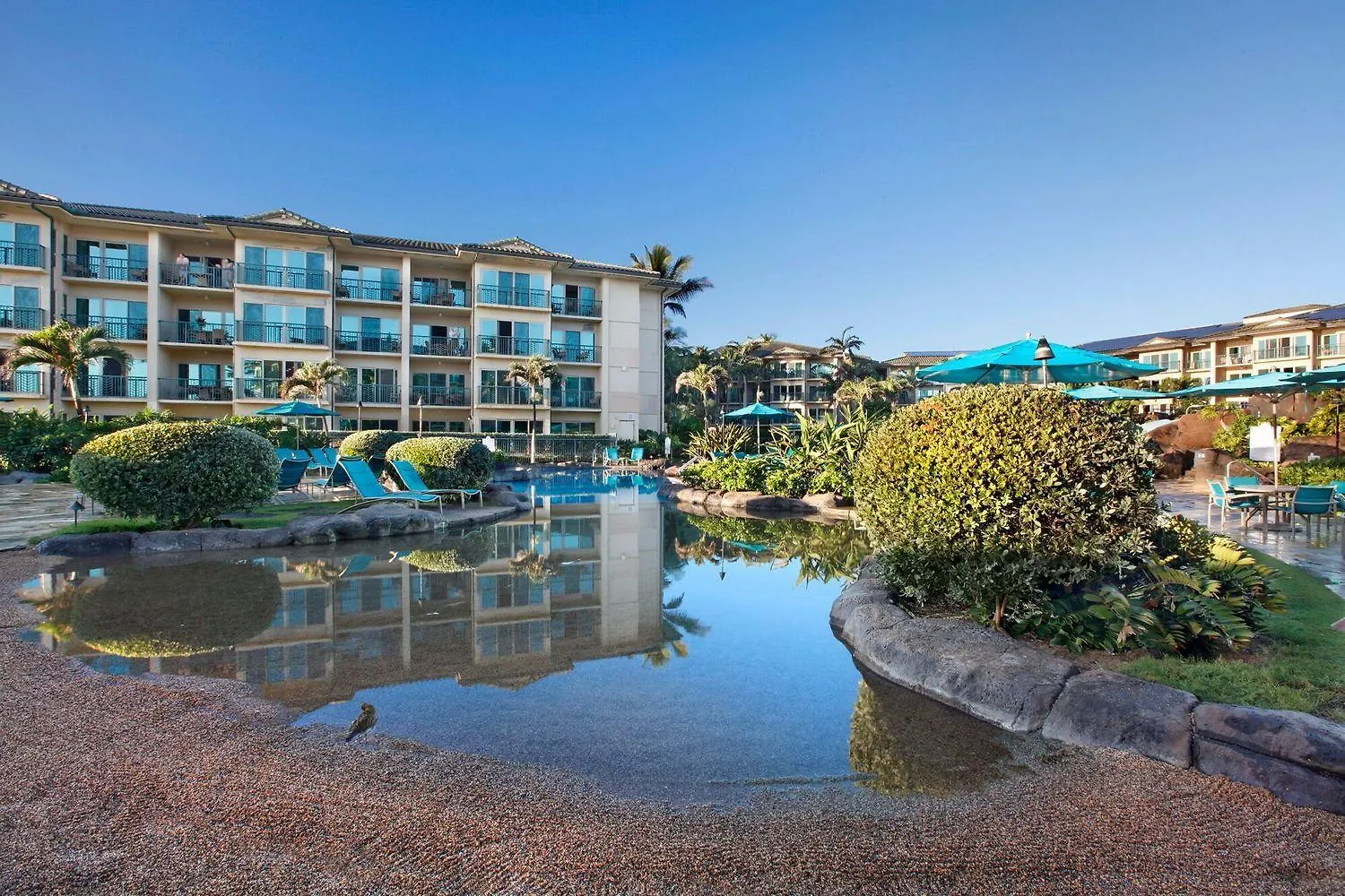 Apartmán Waipouli Beach Resort F402 Wailua  USA